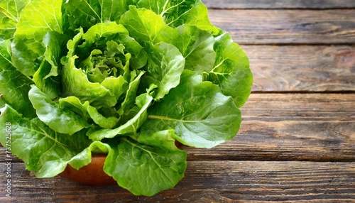 lettuce salad backgrounds