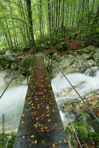 Brücke, Lepenjica, Lepena Tal, Triglav Nationalpark, Slowenien photo