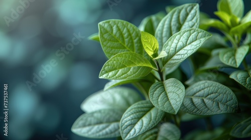 a close up of a green plant with lots of leaves on it's stem and a blurry background.