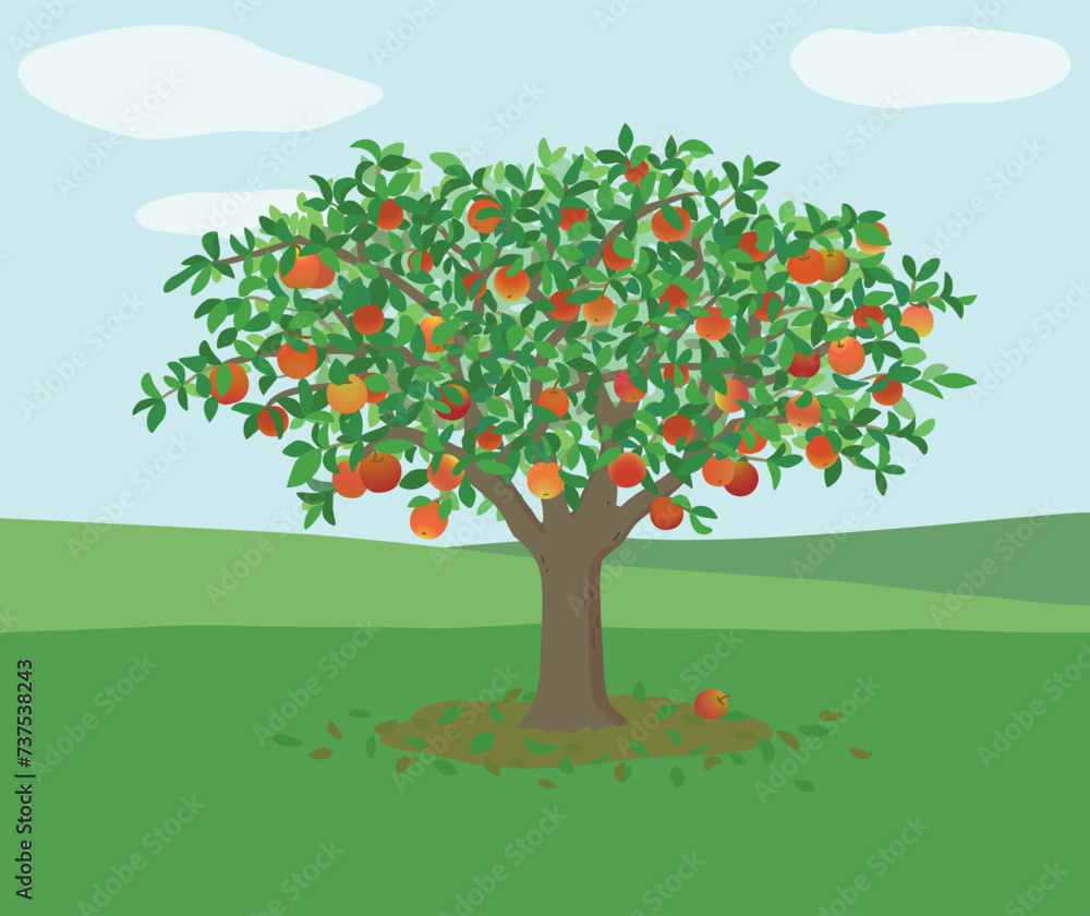 Fototapeta premium りんごの木のイラスト