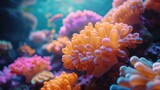 a close up of a sea anemone on a coral with other sea anemones in the background.