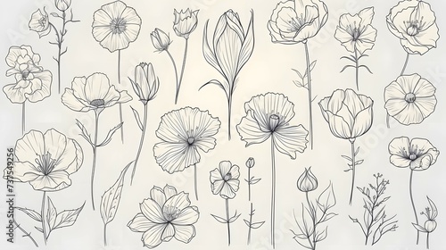 Set Continuous One Line Drawing Flowers