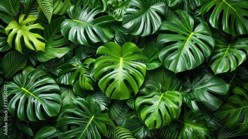 a close up of a bunch of green leaves on a wall with a green plant in the middle of it.