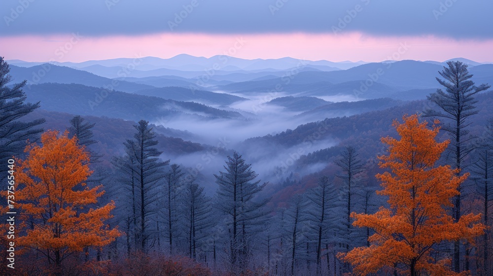 a view of a mountain range with trees in the foreground and fog in the distance with mountains in the background.