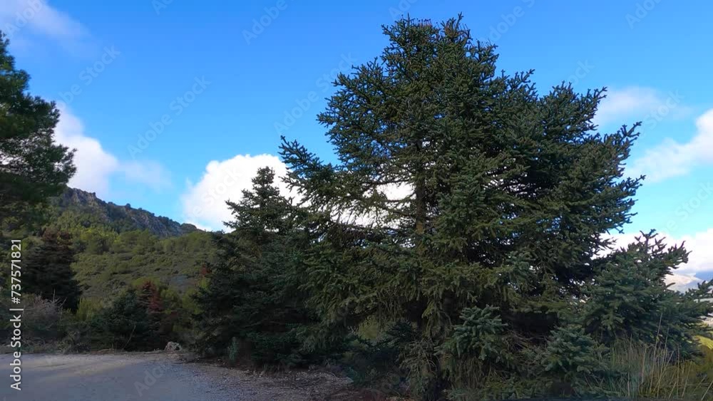 Road from Puerto Saucillo,Sierra de las Nieves national park, Andalusia, Spain. Time lapse series. Road from Puerto Saucillo,Sierra de las Nieves national park, Andalusia, Spain. Time lapse series.