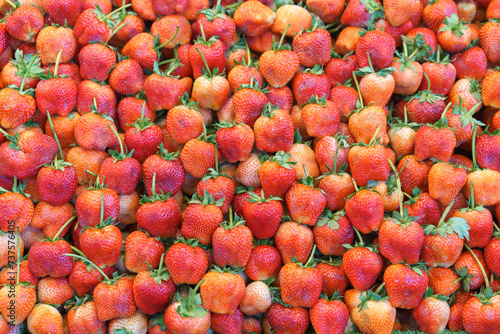 Abundant Fresh Strawberries on Display