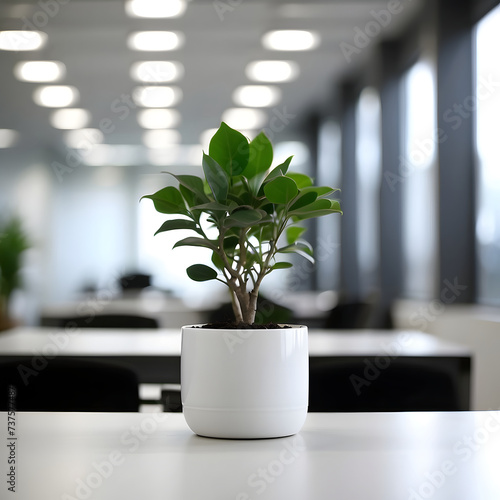 lanning for the office, time management, bright office