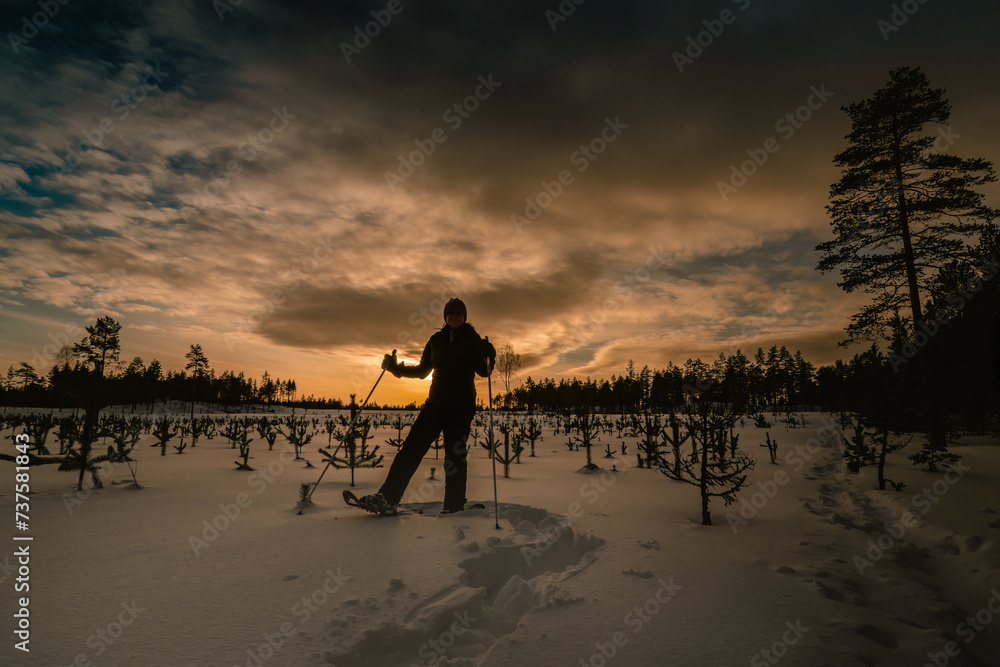 Middle aged women in snowshoes posing in dark evening young pine tree forest. Evening Sunset shines low on the sky at background.