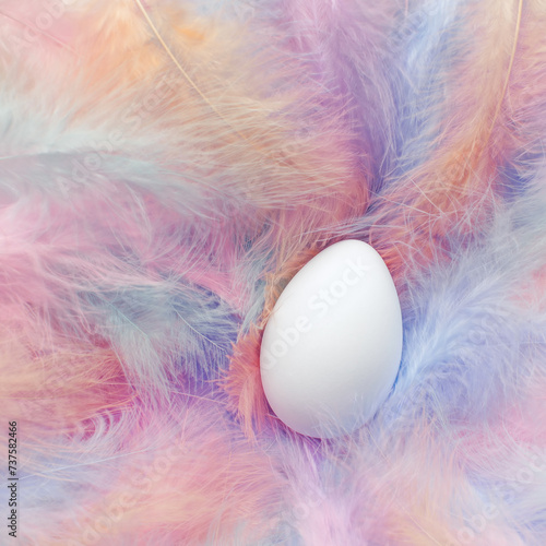 Single Easter egg in soft fluffy pastel feathers. Gentle Easter theme with blank white egg in delicate nest of feathers. © Leigh Prather