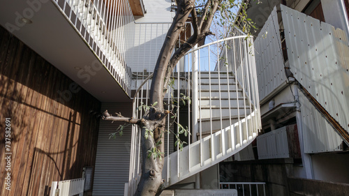 螺旋階段のある家 photo