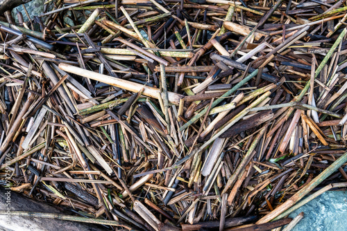 Closeup of pile of wood sticks washed up on shore, as a nature background 
