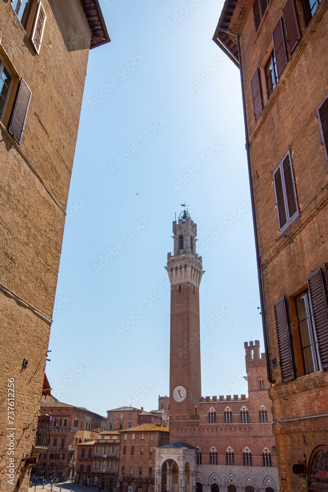 Naklejka premium Town Hall - Siena - Italy