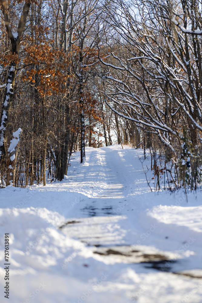 Sunny Winter Walking Biking Trail Minnesota Twin Cities Suburbs