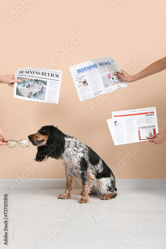 Cute cocker spaniel and han...