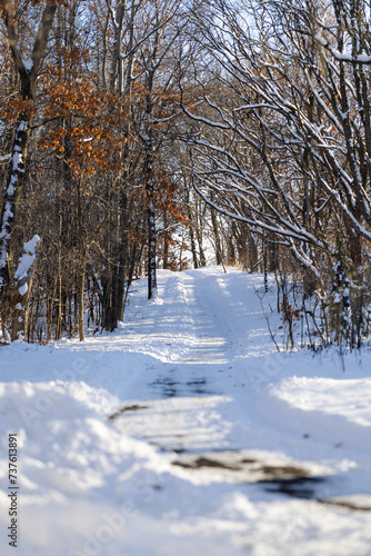 Sunny Winter Walking Biking Trail Minnesota Twin Cities Suburbs