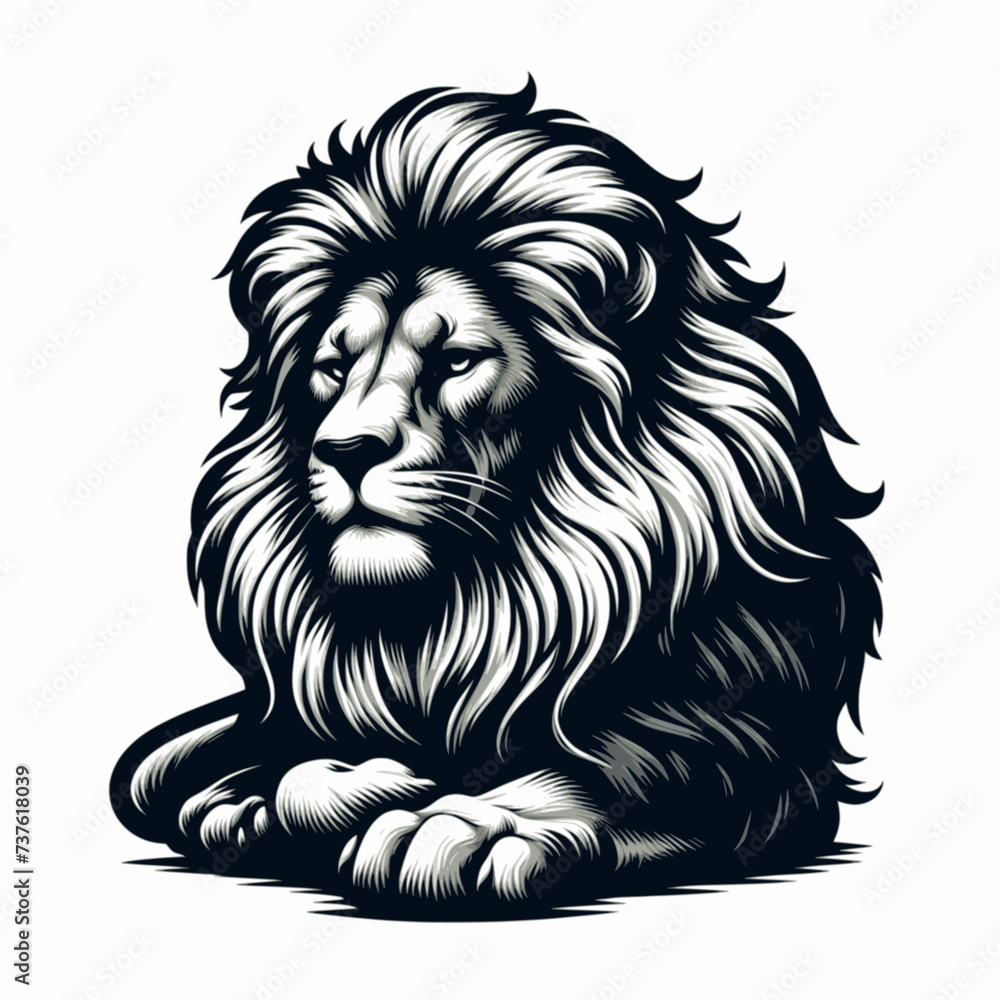 lion sit on white background