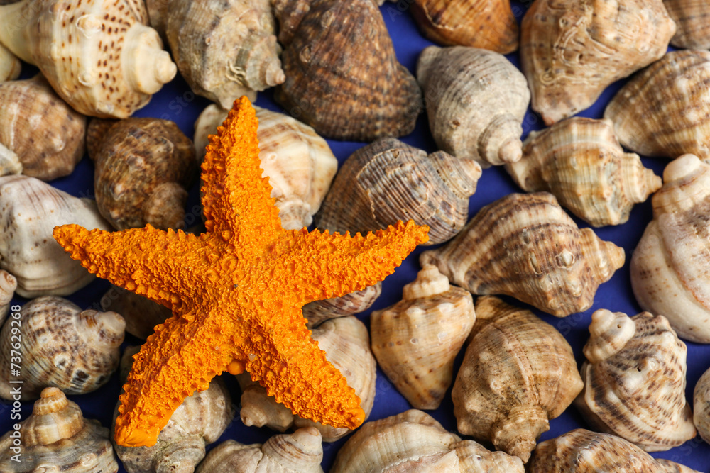 Bright starfish on seashells. Concept of uniqueness Bright starfish on seashells. Concept of uniqueness