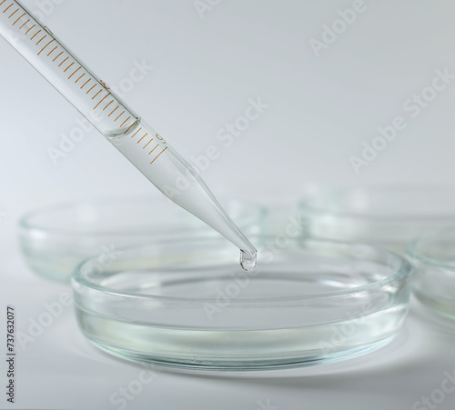 Dripping liquid from pipette into petri dish on light background, closeup