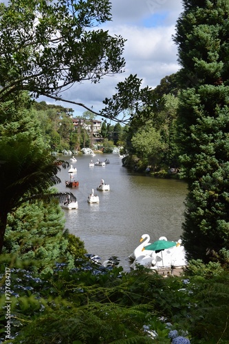 View through the trees of Lago Negro in vertical mode, in Gramado city, Rio Grande do Sul, southern Brazil. Sunny day with some tourists on pedal boats.