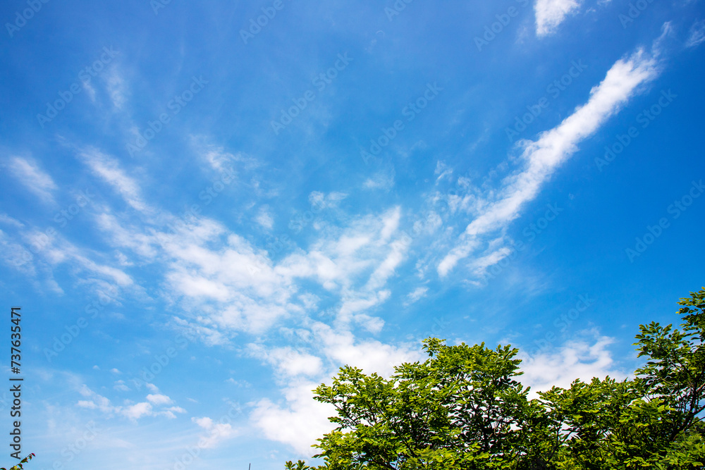 Obraz premium 구름