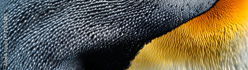 close up penguin feather skin texture pattern background wallpaper, background with a ratio size of 32:9 photo