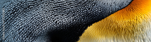 close up penguin feather skin texture pattern background wallpaper, background with a ratio size of 32:9