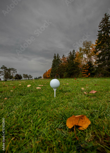 golf ball on a tee in autumn