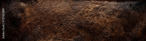 close up of brown horse fur skin texture pattern, background with size ratio 32:9 photo