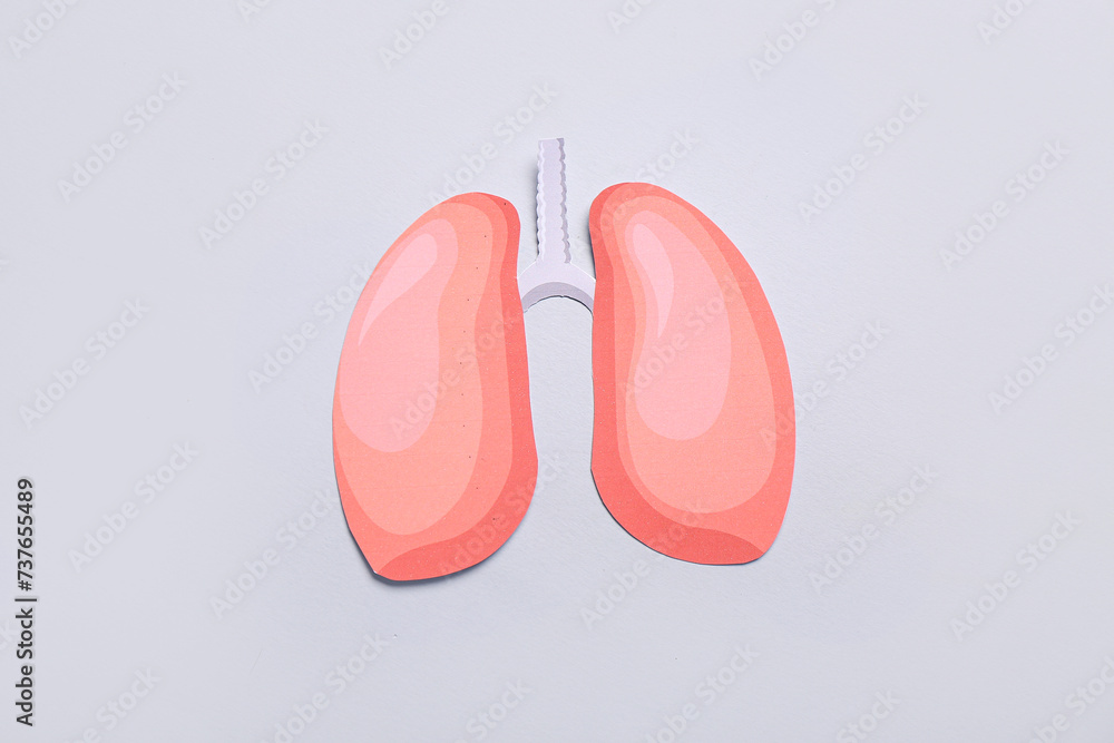 Paper lungs on grey background Paper lungs on grey background