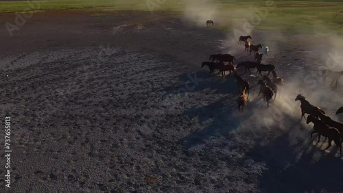 vista aerea de un grupo de caballos trotando sobre la tierra reseca photo