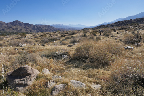 Dry desert landscape south of Palm Springs, California on a warm day in January 2024. Sagebrush and cactus, looking south towards Agua Caliente Indian Reservation, Colorado Desert, Coachella Valley. © Atomazul