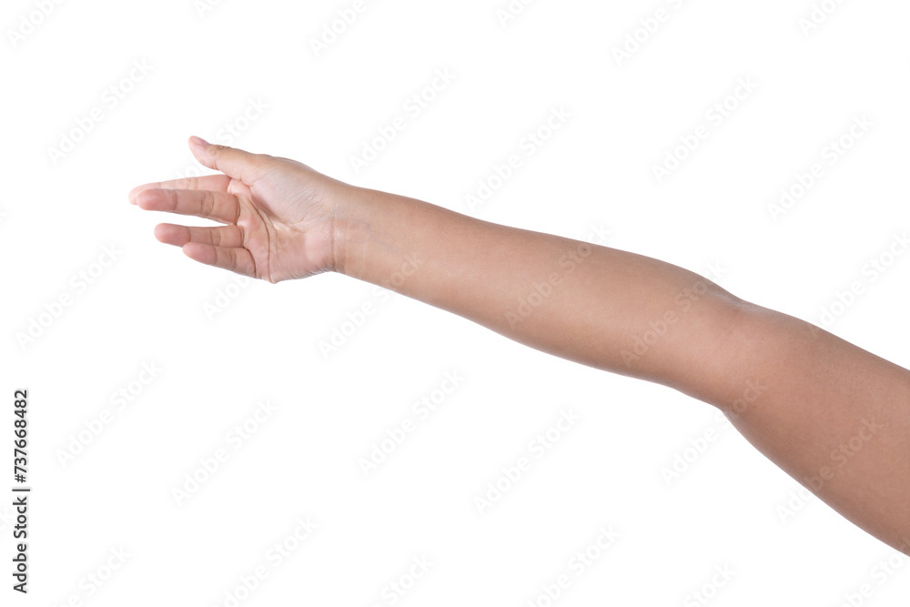 Young woman hand isolated on white background. Young woman hand isolated on white background.