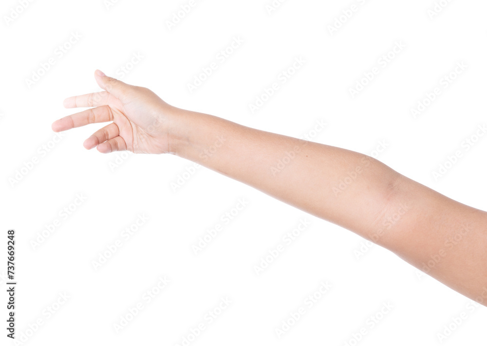 Young woman hand isolated on white background. Young woman hand isolated on white background.