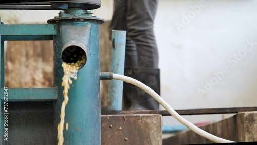Wash coffee green bean after peeled coffee.