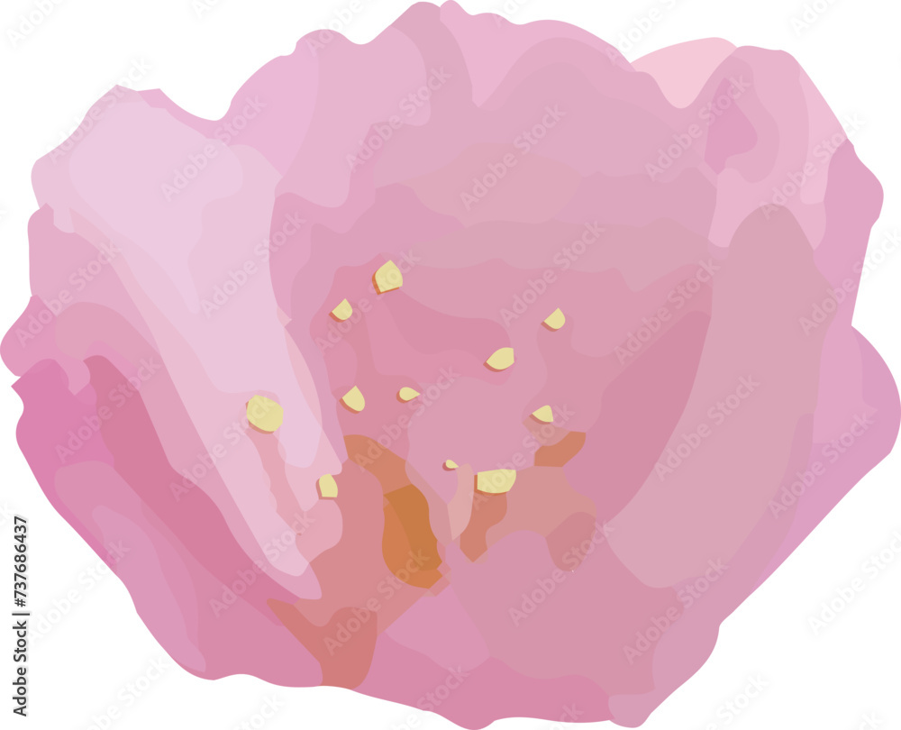 手描き風の桜イラスト
