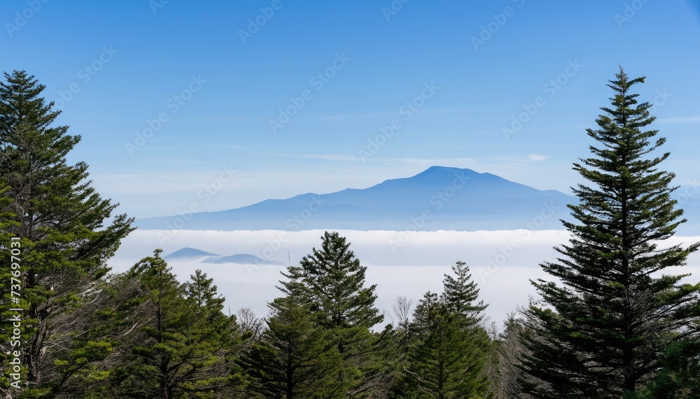 A view over the tops of trees to the Smoky Mountain