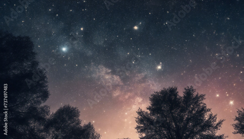 Starry Night Wonders  A Celestial Odyssey