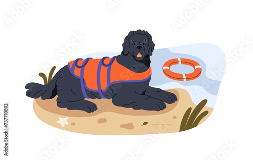 Rescue dog at service. Working lifesaving canine animal of Newfoundland breed. Rescuer, lifesaver, trained doggy for water accident, emergency. Flat vector illustration isolated on white background