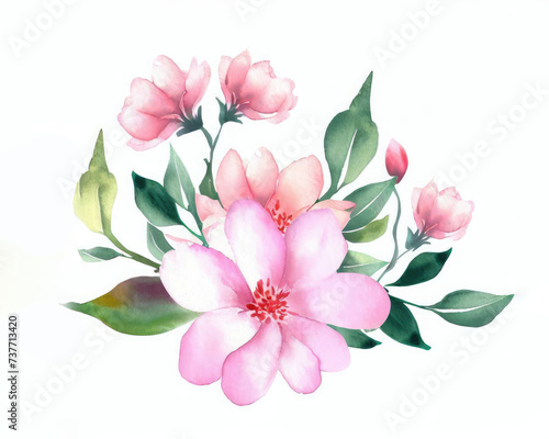Watercolor flowers and leaves isolated on a white background