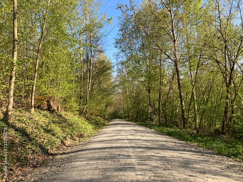 Wald  Wege und Landschaft