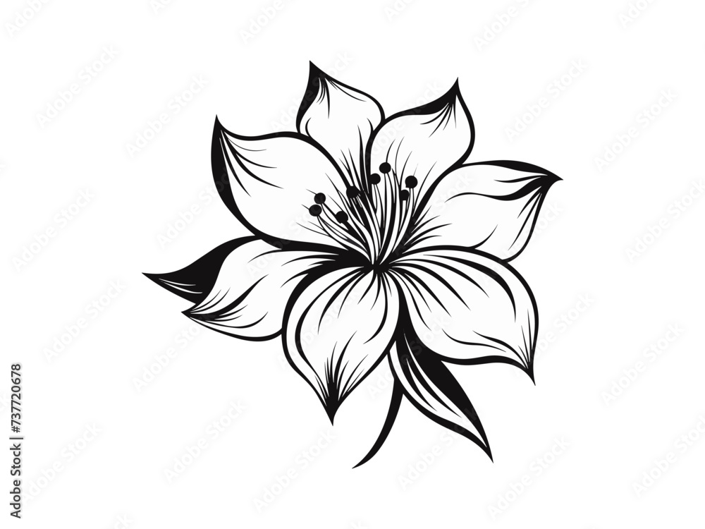 Beautiful minimalist flower illustration art. Beautiful minimalist flower illustration art.
