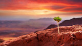 Small unknown seed sprouting on the edge of a mountain of mars, red sky, sunset and dawn