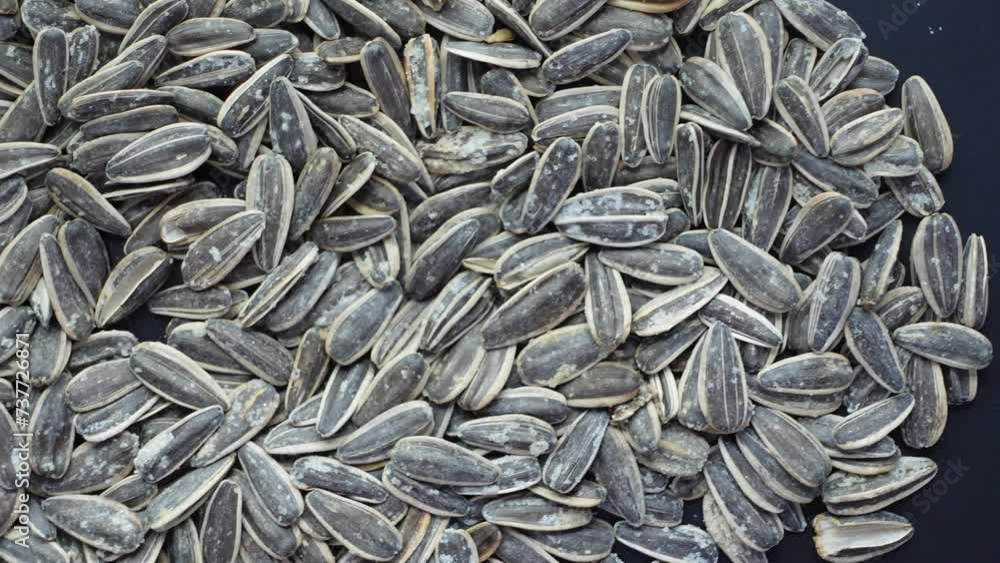 top view of sun flower seeds on black background top view of sun flower seeds on black background