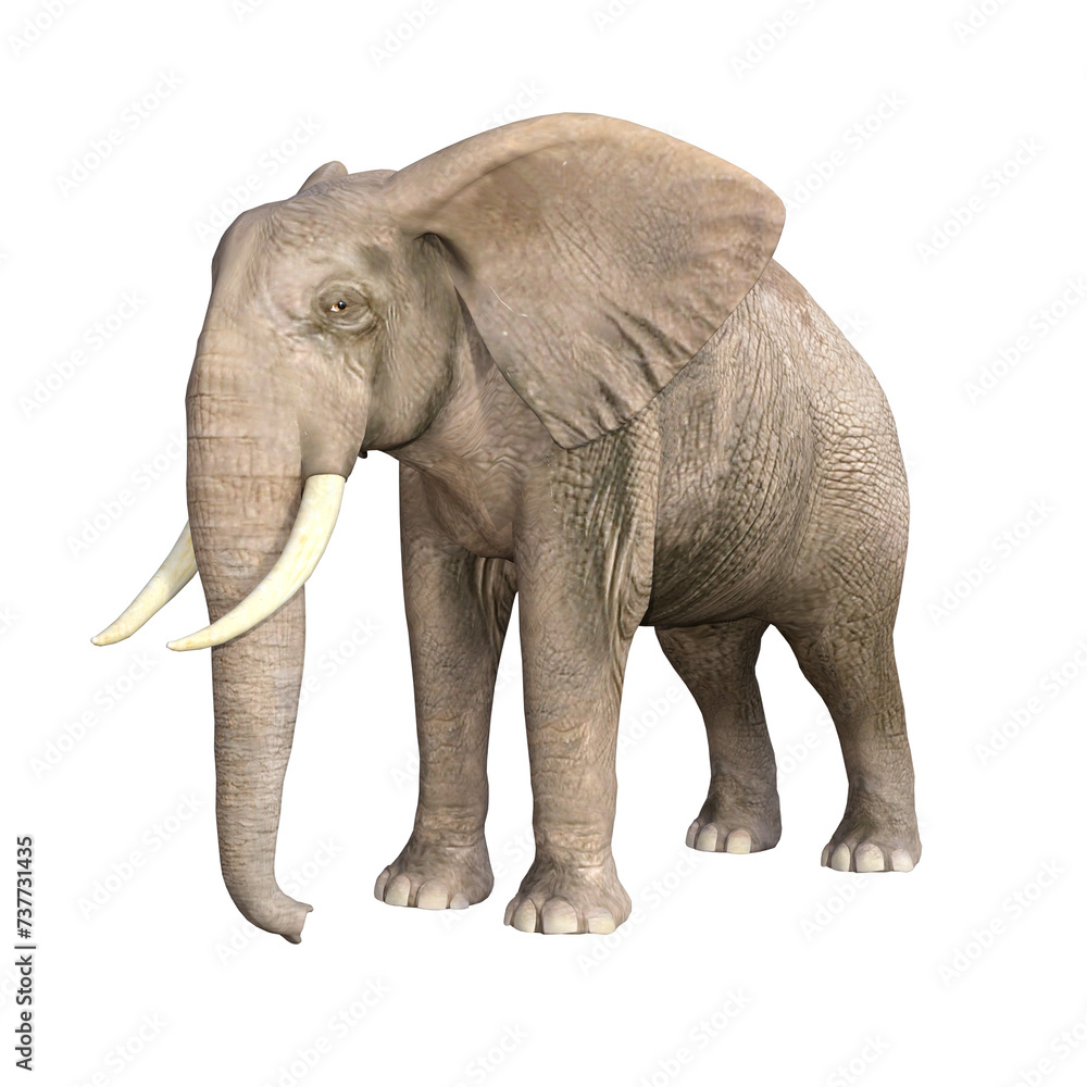 Obraz premium Elephant rendered in different poses and angles. 3D model, PNG.