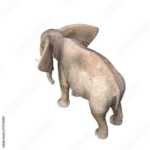 Elephant rendered in different poses and angles. 3D model  PNG.