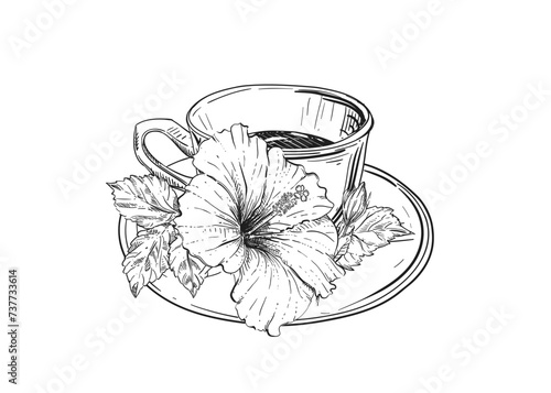 Hand drawn sketch black and white illustration cup of tea hibiscus flower, leaf. Vector illustration. Elements in graphic style label, sticker. Engraved style.