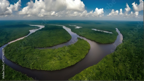 The Amazon Rainforest (South America) photo