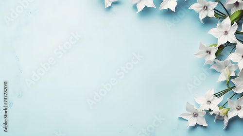 White star-shaped flowers on a blue background. Botanical composition with copy space for design and spring themes. Wedding invitations, mother's day, birthday photo
