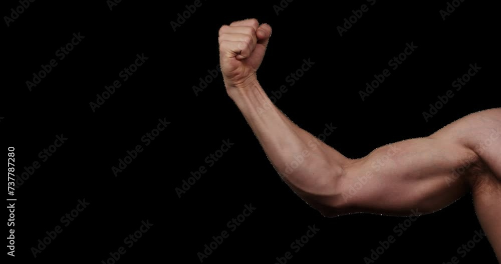 Hand gestures with alpha channel. Pre keyed. Athletic crossfit forearm showing encouraging fist gesture. Hand gestures with alpha channel. Pre keyed. Athletic crossfit forearm showing encouraging fist gesture.