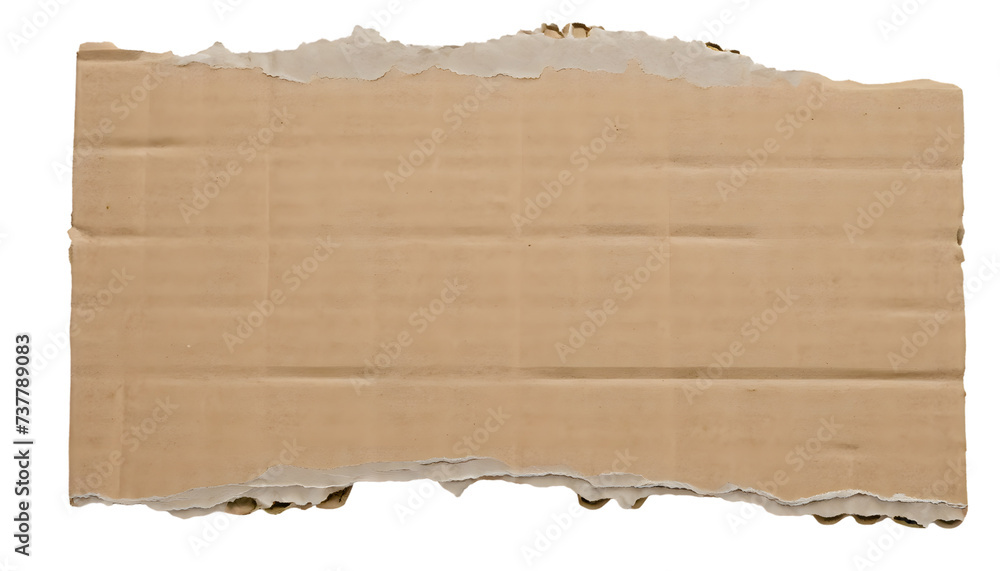 torn piece of old paper isolated on white background